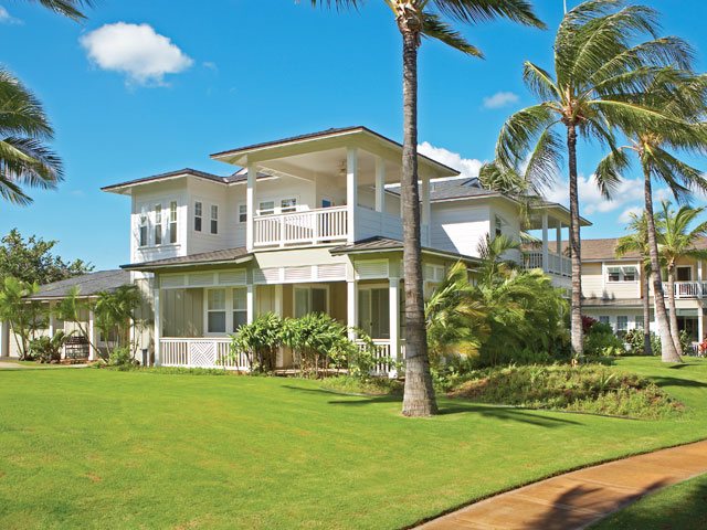 The Coconut Plantation